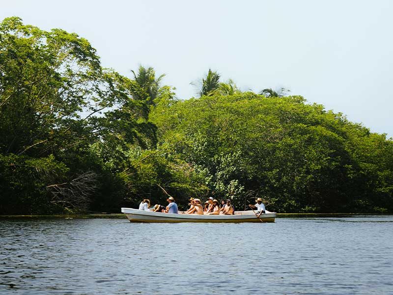 Things to Know Before You Go on the Madu River Safari