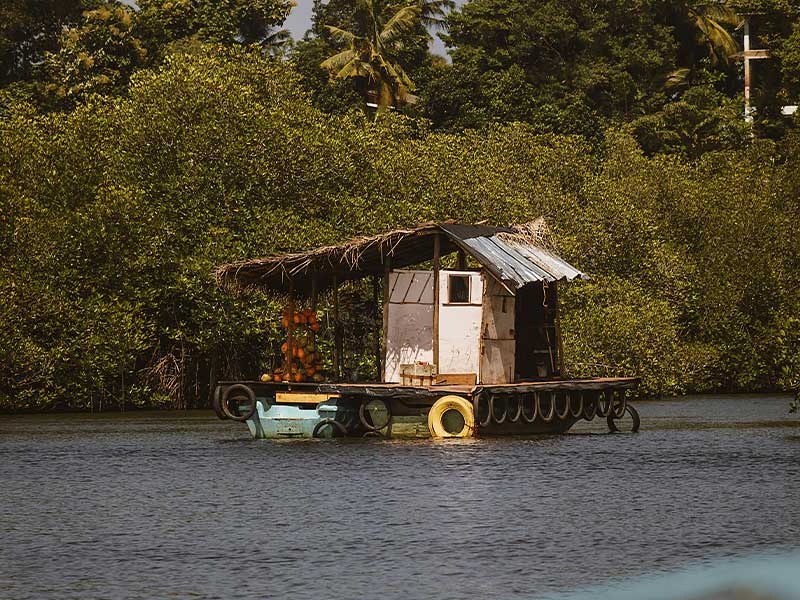 Things to Know Before You Go on the Madu River Safari