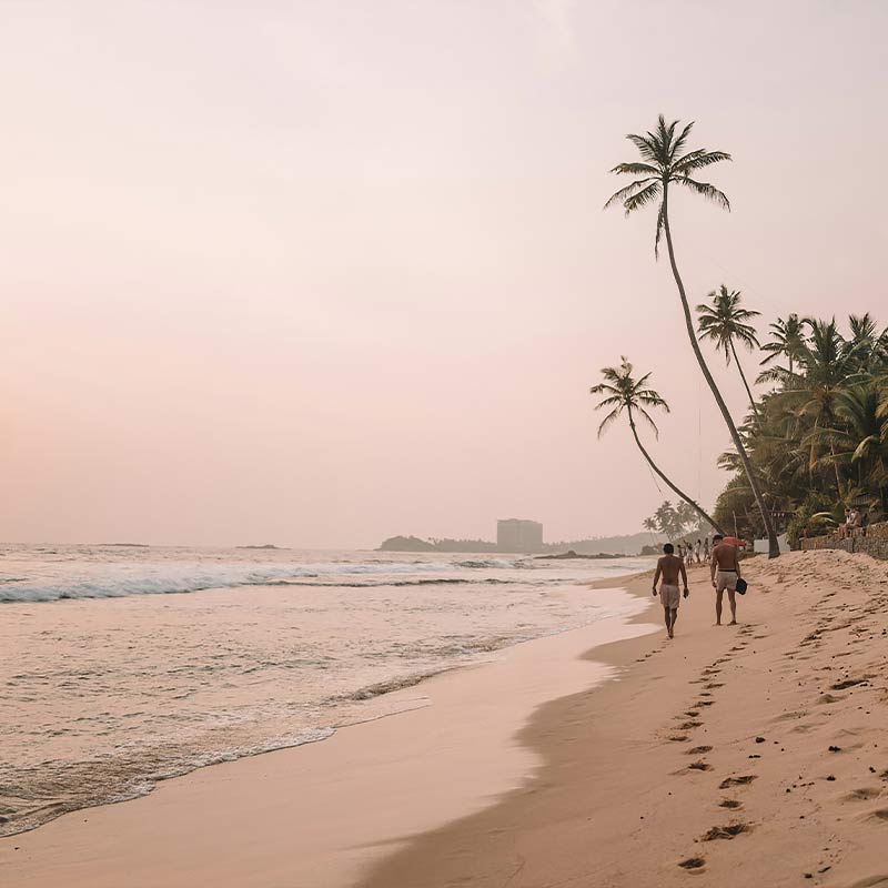 Guided Local Excursions
