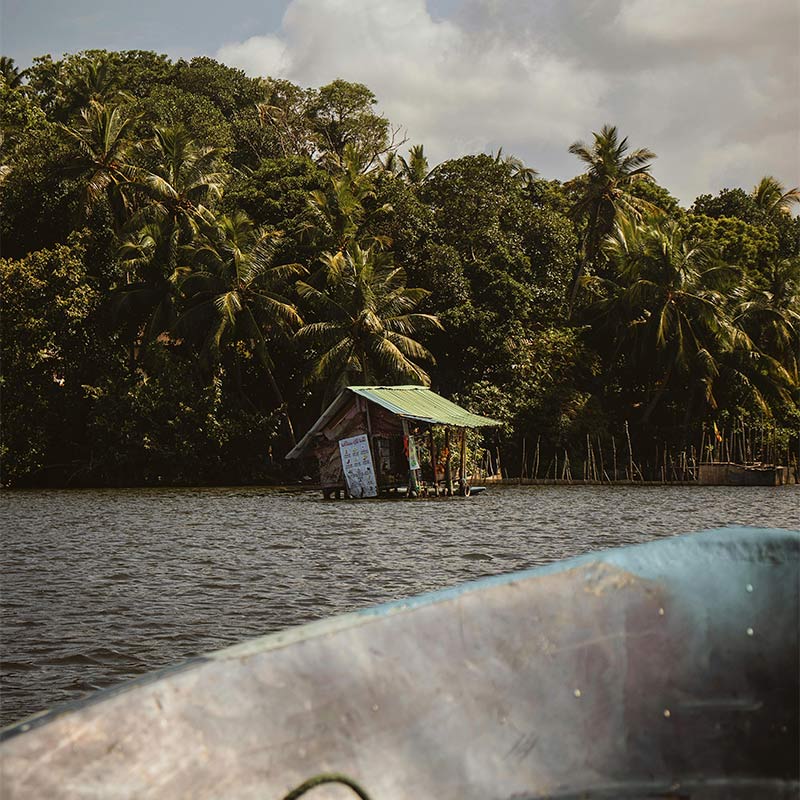 Madu River Boat Safari