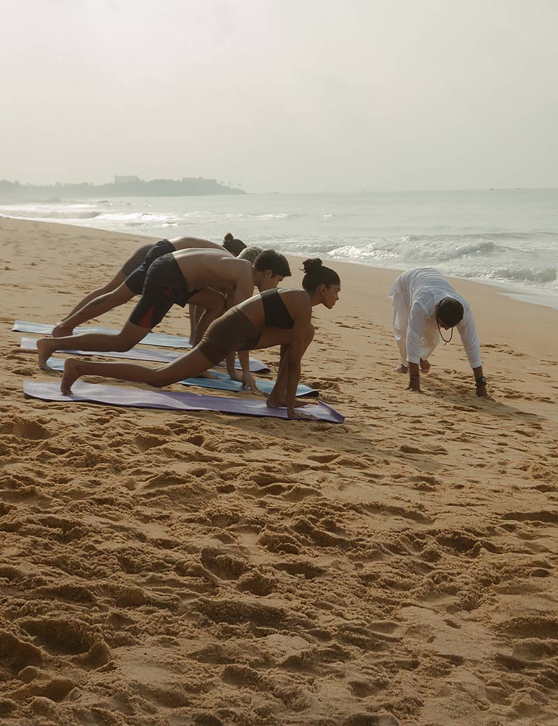 Wellness