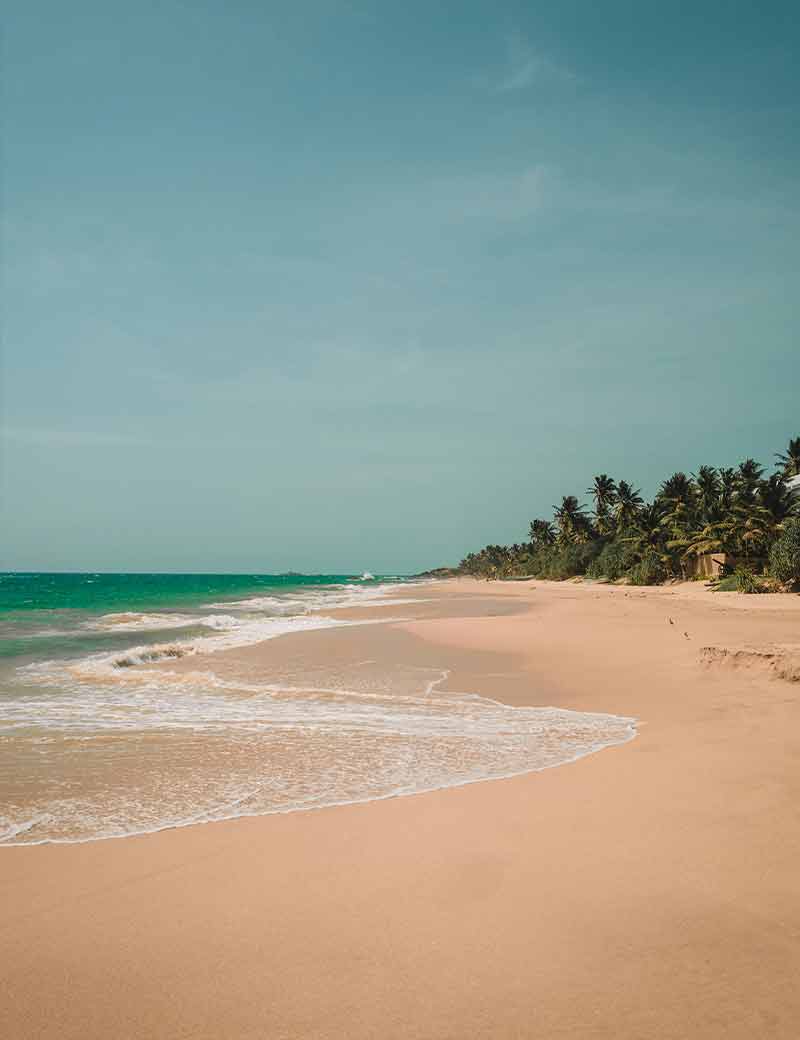 Relax on Unawatuna Beach